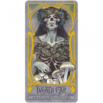 Lady Stirling's Wicked Garden orakulo kortų ir knygos rinkinys US Games Systems